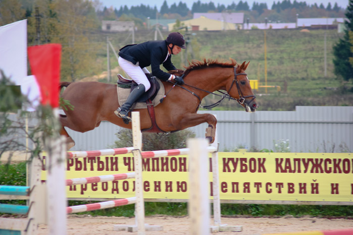 Открытый Чемпионат и Кубок Калужской Области по преодалению препятствий и выездки Открытый Чемпионат и Кубок Калужской Области по преодалению препятствий и выездки