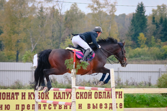 Открытый Чемпионат и Кубок Калужской Области по преодалению препятствий и выездки Открытый Чемпионат и Кубок Калужской Области по преодалению препятствий и выездки