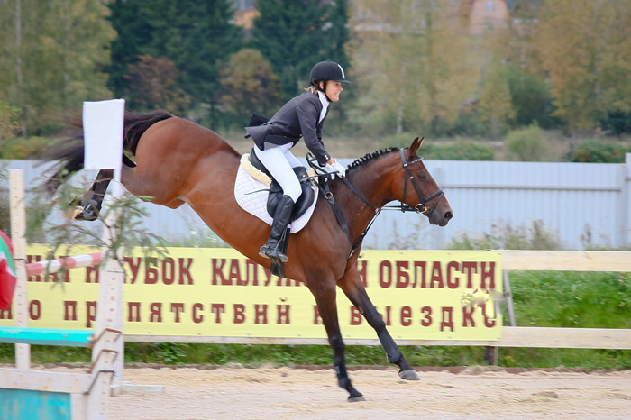 Открытый Чемпионат и Кубок Калужской Области по преодалению препятствий и выездки Открытый Чемпионат и Кубок Калужской Области по преодалению препятствий и выездки