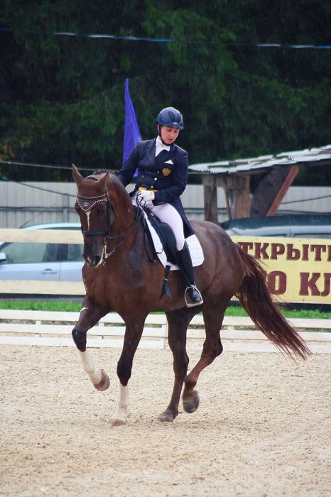 Открытый Чемпионат и Кубок Калужской Области по преодалению препятствий и выездки Открытый Чемпионат и Кубок Калужской Области по преодалению препятствий и выездки