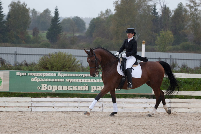 Открытый Чемпионат и Кубок Калужской Области по преодалению препятствий и выездки Открытый Чемпионат и Кубок Калужской Области по преодалению препятствий и выездки